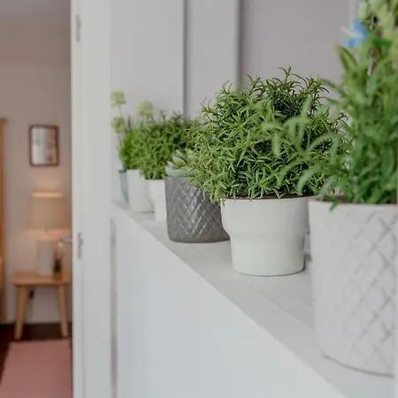 Appartement Sunny With Patio, By Timecooler Lisboa