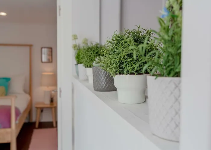 דירה Sunny With Patio, By Timecooler ליסבון